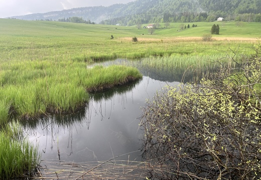 23-05-23 13-26-46 5600